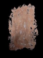 Pastel de Óleo CARAN D'ACHE Bronze nº497 - Image 2